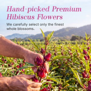 Natural Hibiscus Flowers Herbal Tea