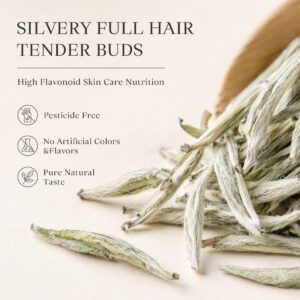 Silver Needle