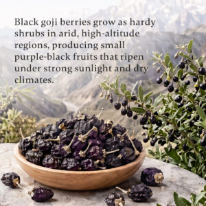 Dried Black Goji Berries Tea