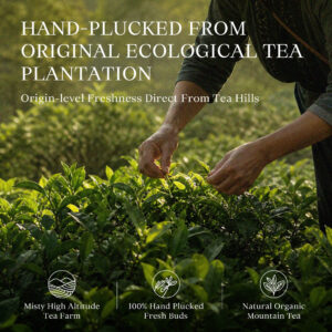 Liu Bao Dark Tea