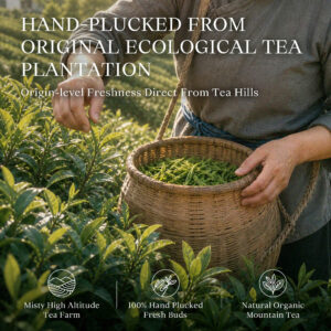 Dragon Well（Long Jing）
