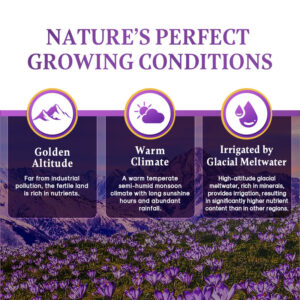 Superior Saffron Threads (Super Negin)