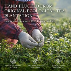 Anji White Tea