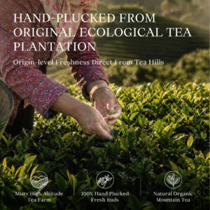 Osmanthus Oolong Tea