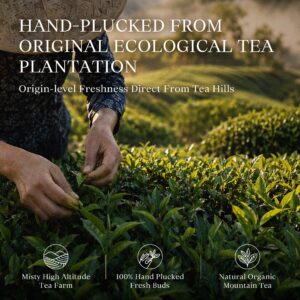 Keemun Black Tea