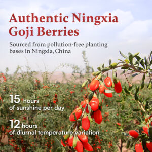 Dried Goji Berries Tea