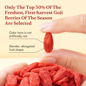 Dried Goji Berries Tea