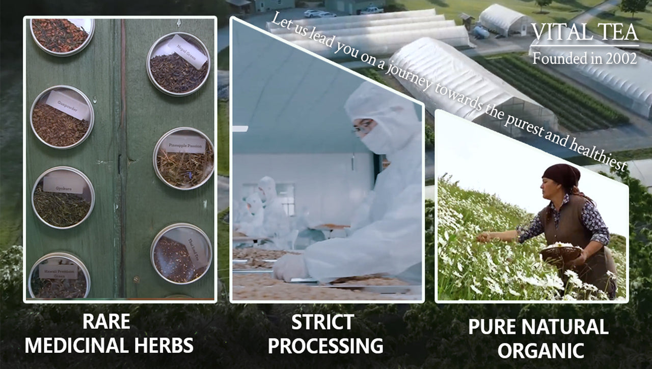 Vital Tea brand film